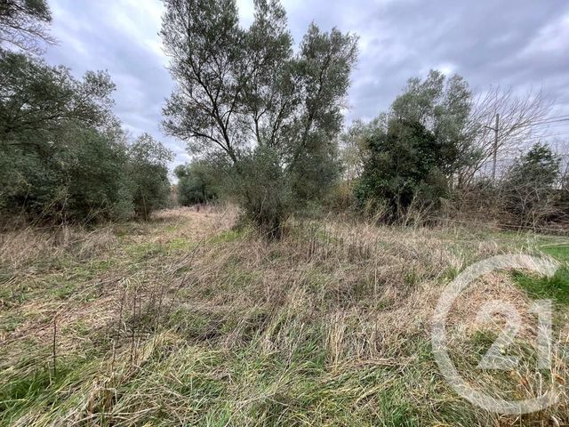 Terrain &agrave; vendre - 506 m2 - Lunel Viel - 34 - LANGUEDOC-ROUSSILLON