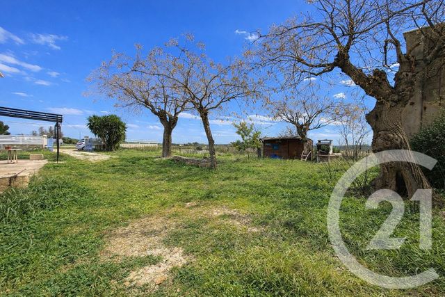 Maison &agrave; louer - 4 pi&egrave;ces - 138,46 m2 - Vauvert - 30 - LANGUEDOC-ROUSSILLON