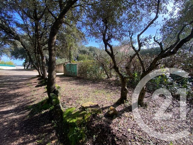 Maison &agrave; vendre - 5 pi&egrave;ces - 162 m2 - Boisseron - 34 - LANGUEDOC-ROUSSILLON