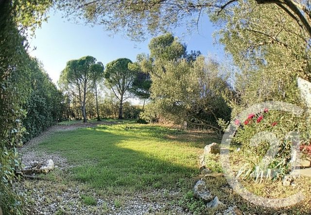 Maison &agrave; louer - 3 pi&egrave;ces - 64 m2 - Montpellier - 34 - LANGUEDOC-ROUSSILLON