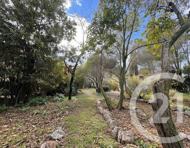 Maison &agrave; louer - 3 pi&egrave;ces - 64 m2 - Montpellier - 34 - LANGUEDOC-ROUSSILLON