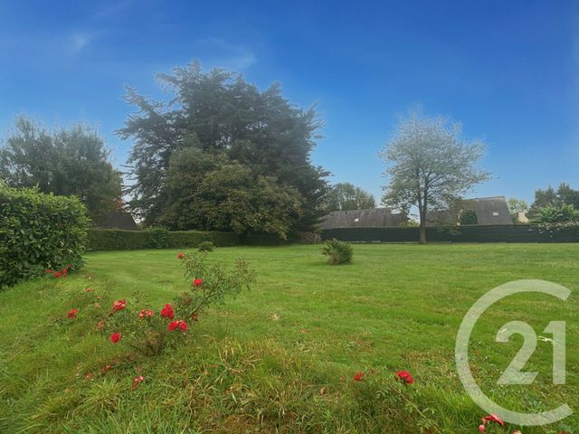 terrain - AUCALEUC - 22