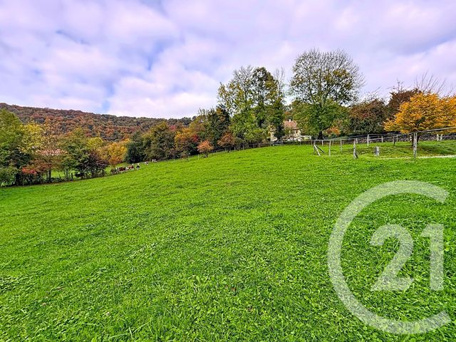 terrain - SOLEMONT - 25