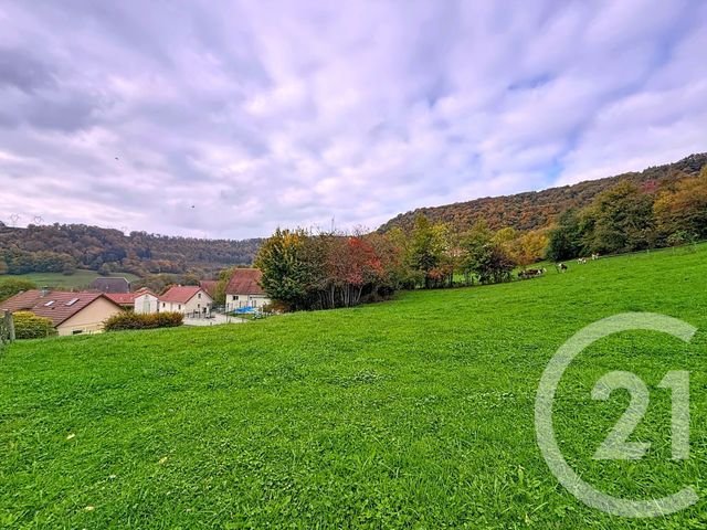 terrain - SOLEMONT - 25