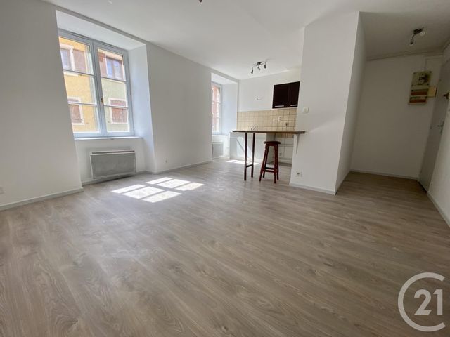 Appartement F2 &agrave; louer - 2 pi&egrave;ces - 42,01 m2 - Delle - 90 - FRANCHE-COMTE