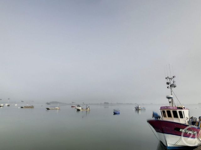 Maison &agrave; vendre - 4 pi&egrave;ces - 40,51 m2 - Le Tour Du Parc - 56 - BRETAGNE