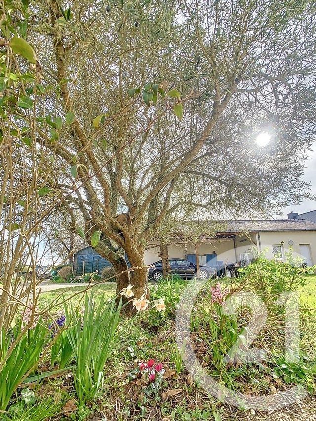 Maison à vendre - 5 pièces - 106,50 m2 - Sarzeau - 56 - BRETAGNE