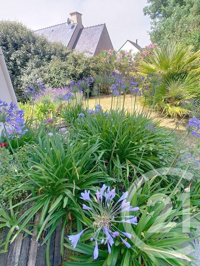 Maison à vendre - 4 pièces - 84,12 m2 - Sarzeau - 56 - BRETAGNE