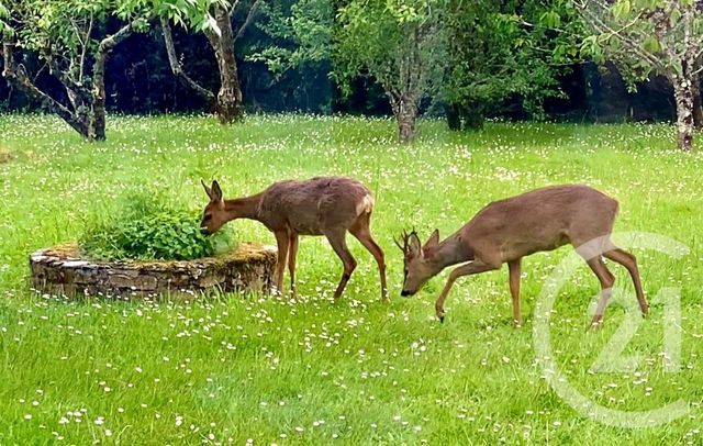 Maison &agrave; vendre - 6 pi&egrave;ces - 150 m2 - St Armel - 56 - BRETAGNE