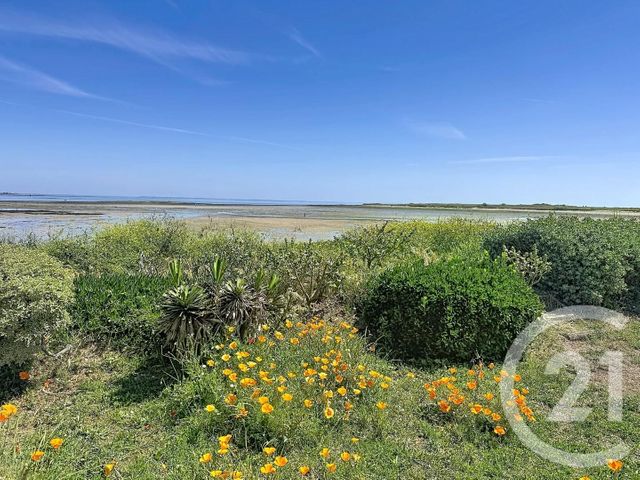 Appartement F1 bis &agrave; vendre - 2 pi&egrave;ces - 24 m2 - Sarzeau - 56 - BRETAGNE