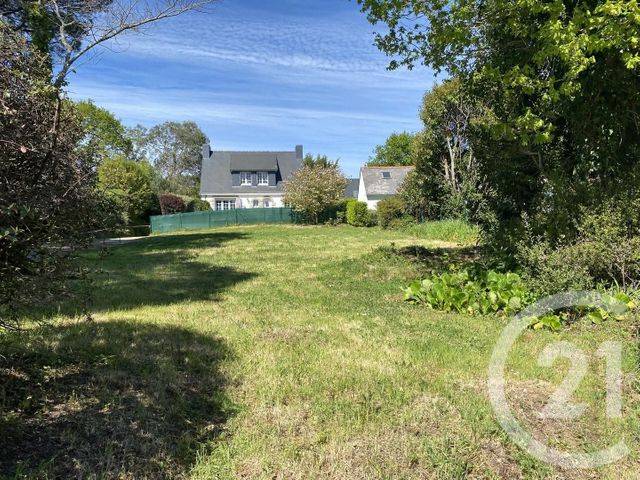 terrain - SARZEAU - 56