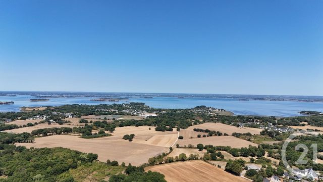 terrain - SARZEAU - 56