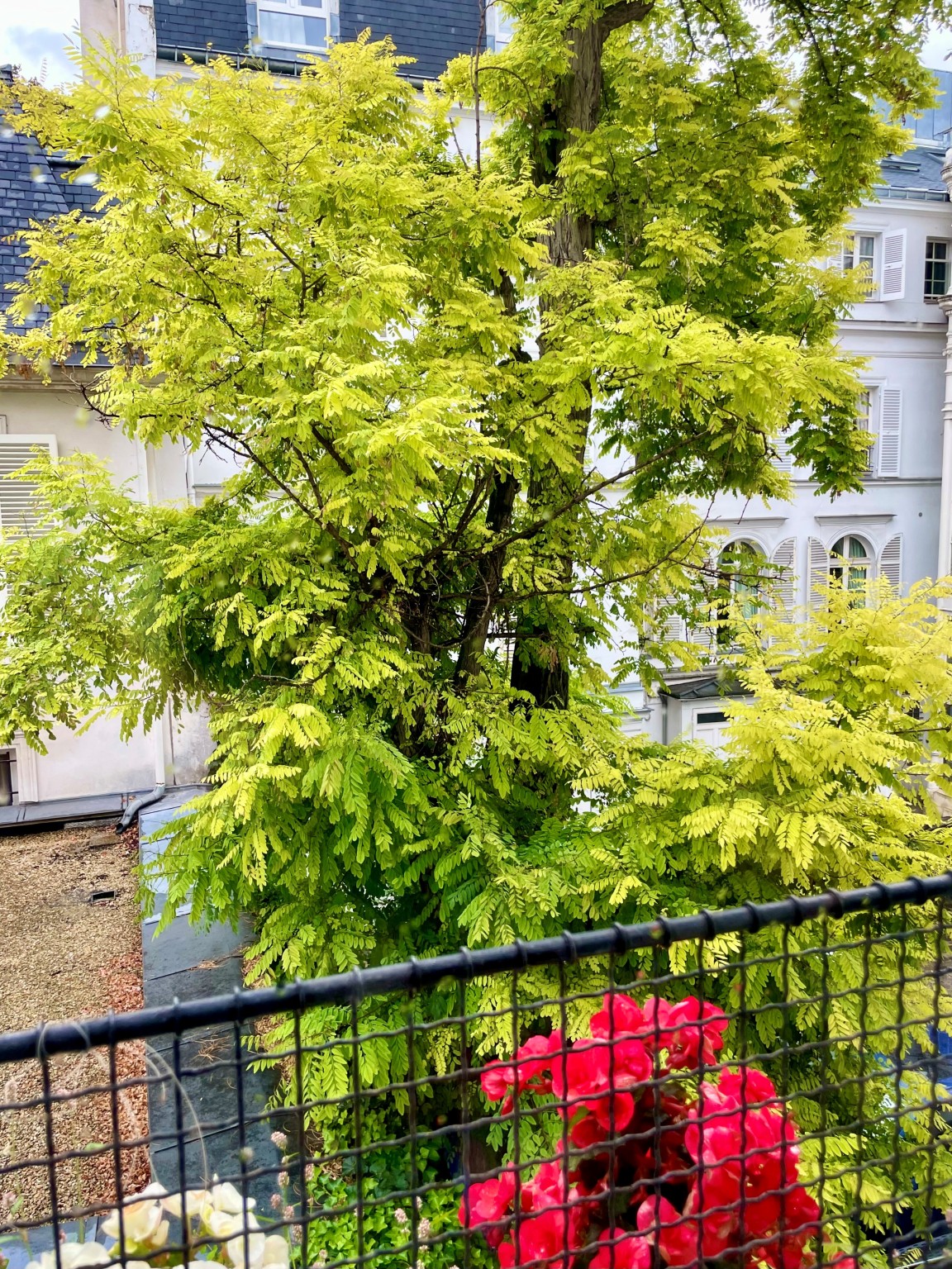 appartement  - PARIS- 75008