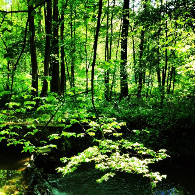 Maison &agrave; vendre - 28 pi&egrave;ces - 1500 m2 - 02 - PICARDIE