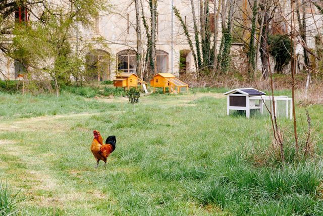 Maison &agrave; vendre - 28 pi&egrave;ces - 1500 m2 - 02 - PICARDIE