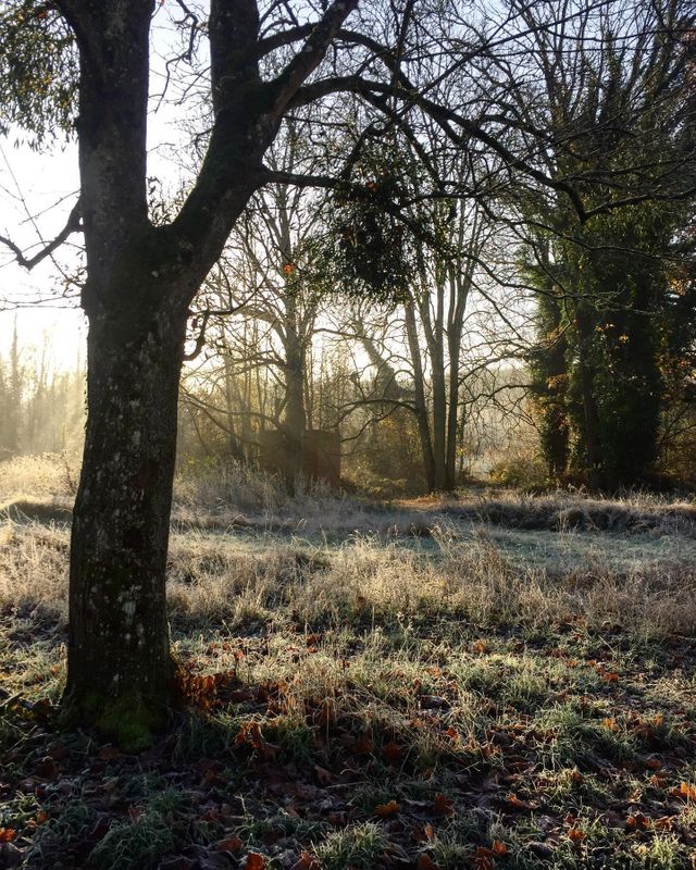 Maison &agrave; vendre - 28 pi&egrave;ces - 1500 m2 - 02 - PICARDIE