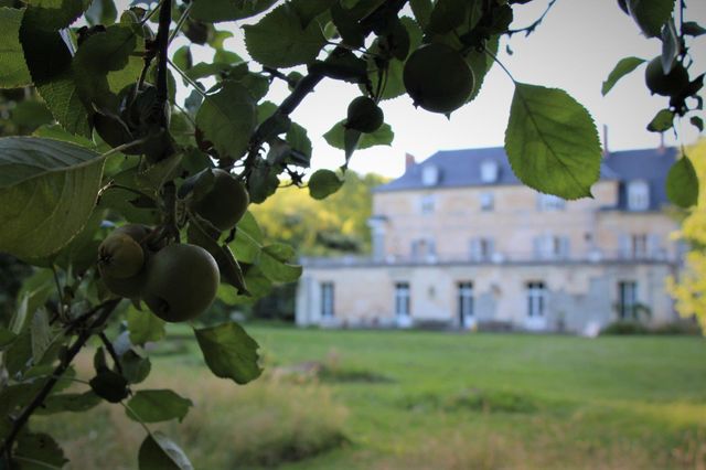 Maison &agrave; vendre - 28 pi&egrave;ces - 1500 m2 - 02 - PICARDIE