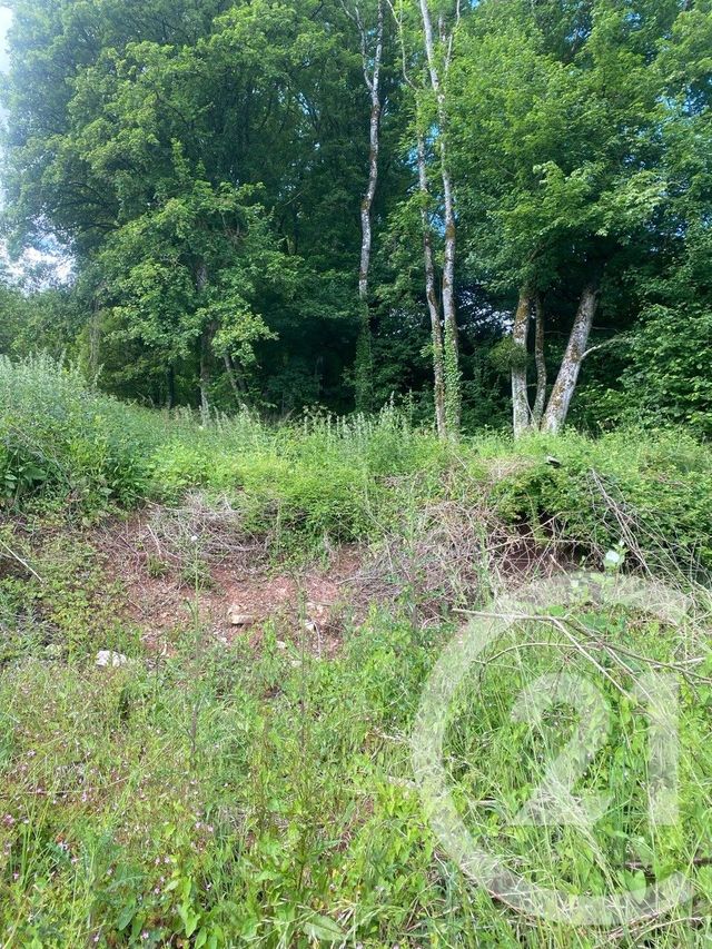 Terrain &agrave; vendre - 1700 m2 - Crevechamps - 54 - LORRAINE