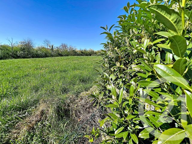 Maison &agrave; vendre - 4 pi&egrave;ces - 139,85 m2 - Ludres - 54 - LORRAINE