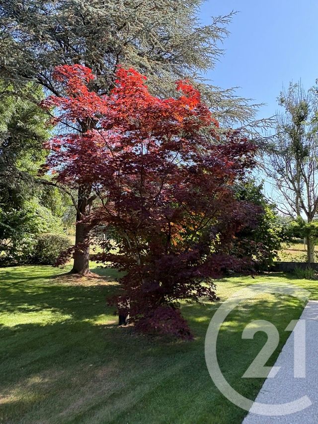 Maison &agrave; vendre - 6 pi&egrave;ces - 139,08 m2 - Boissy Le Chatel - 77 - ILE-DE-FRANCE