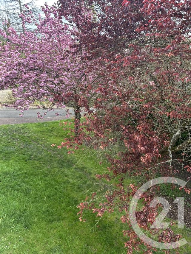 Appartement &agrave; vendre - 4 pi&egrave;ces - 82,07 m2 - Avon - 77 - ILE-DE-FRANCE