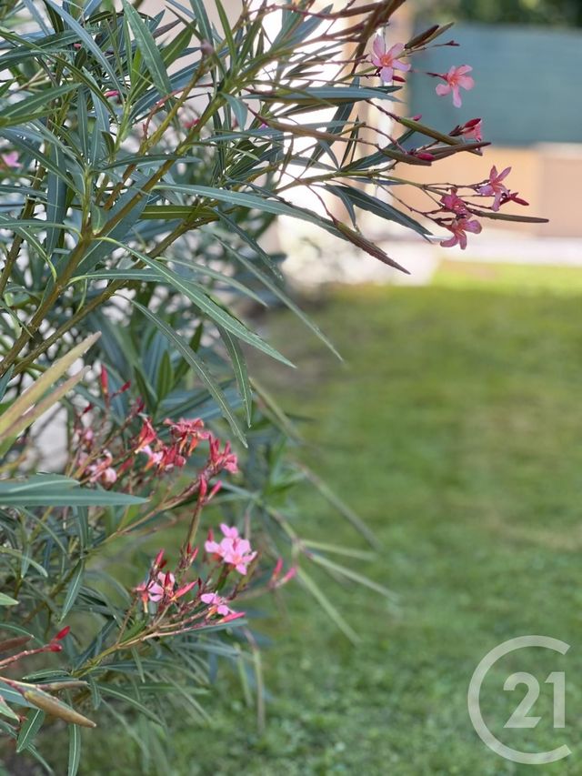 Maison &agrave; vendre - 8 pi&egrave;ces - 151,86 m2 - Samoreau - 77 - ILE-DE-FRANCE