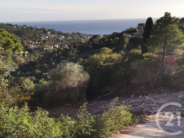 Terrain &agrave; vendre - 1913 m2 - Roquebrune Sur Argens - 83 - PROVENCE-ALPES-COTE-D-AZUR