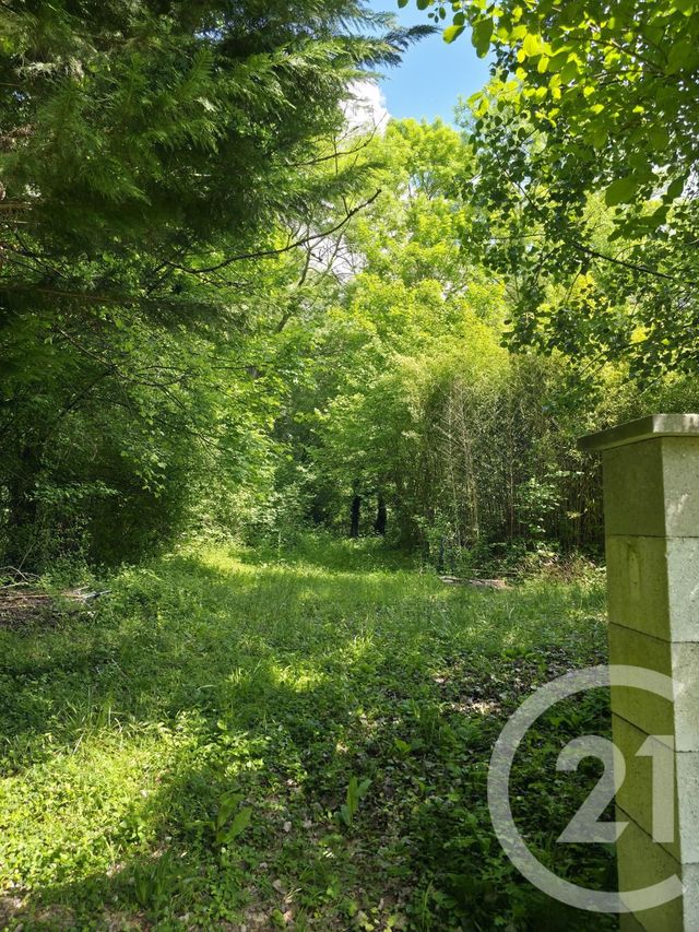 Terrain à vendre - 1563 m2 - Ay Champagne - 51 - CHAMPAGNE-ARDENNE