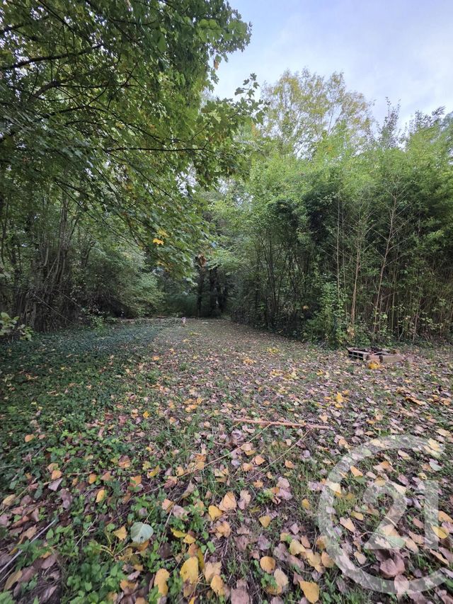 Terrain à vendre - 1563 m2 - Ay Champagne - 51 - CHAMPAGNE-ARDENNE