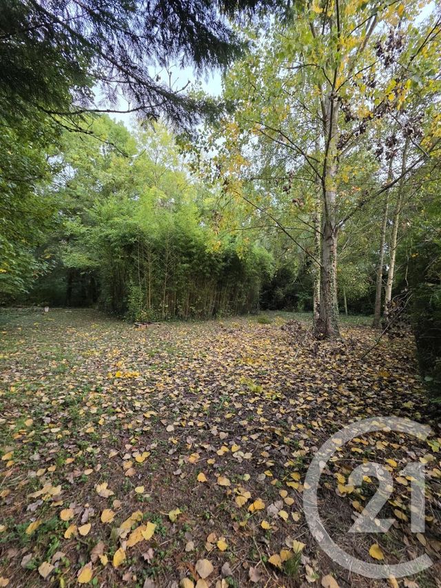 terrain - AY CHAMPAGNE - 51