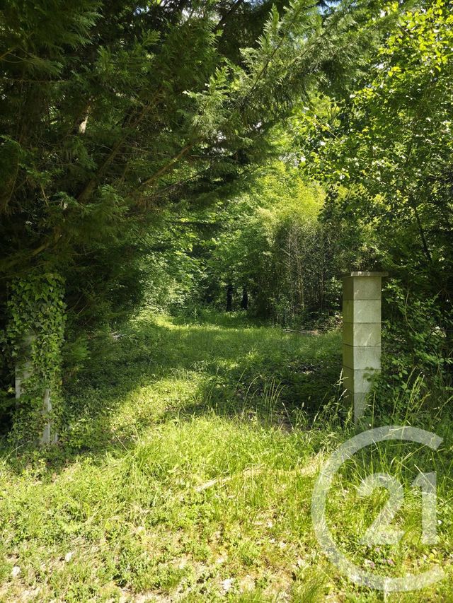 Terrain à vendre - 1563 m2 - Ay Champagne - 51 - CHAMPAGNE-ARDENNE