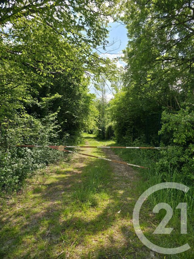 Terrain à vendre - 1563 m2 - Ay Champagne - 51 - CHAMPAGNE-ARDENNE