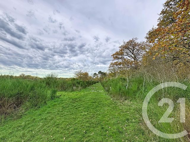 Maison &agrave; vendre - 9 pi&egrave;ces - 607 m2 - 41 - CENTRE