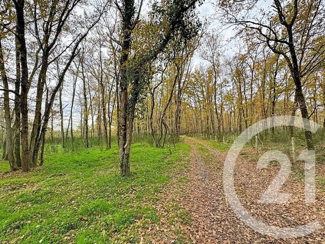 Maison &agrave; vendre - 9 pi&egrave;ces - 607 m2 - 41 - CENTRE