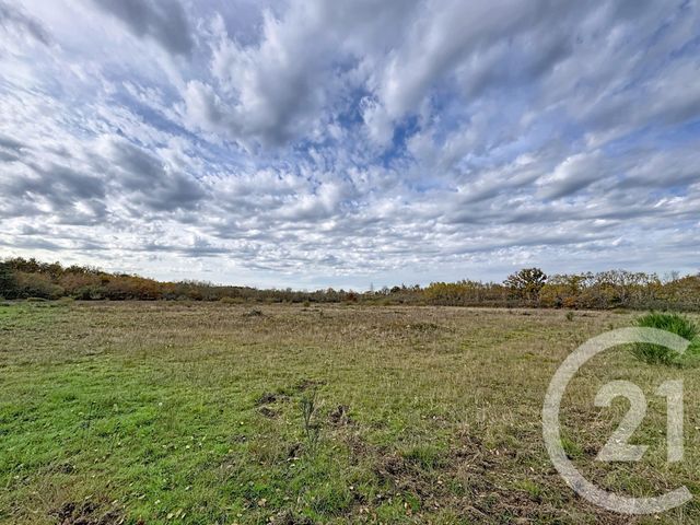 Maison &agrave; vendre - 9 pi&egrave;ces - 607 m2 - 41 - CENTRE