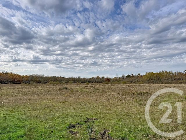 Maison &agrave; vendre - 9 pi&egrave;ces - 607 m2 - 41 - CENTRE