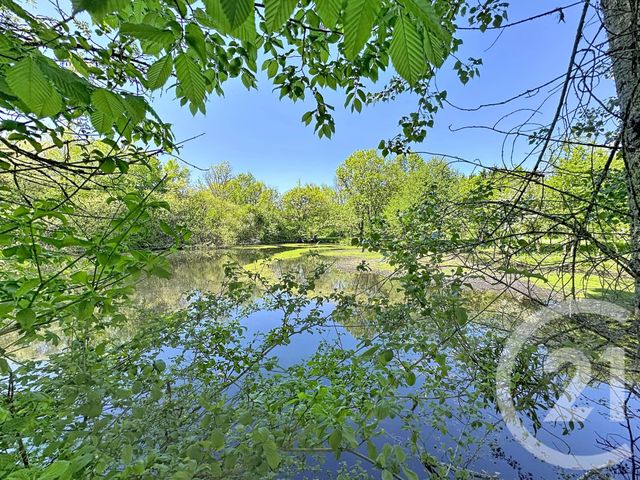 Maison &agrave; vendre - 9 pi&egrave;ces - 306,79 m2 - Pruniers En Sologne - 41 - CENTRE