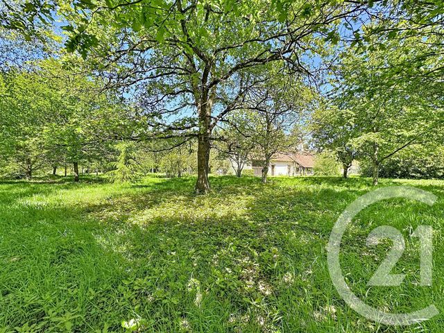 Maison &agrave; vendre - 9 pi&egrave;ces - 306,79 m2 - Pruniers En Sologne - 41 - CENTRE