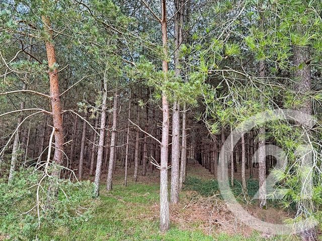 Maison &agrave; vendre - 12 pi&egrave;ces - 420 m2 - Gievres - 41 - CENTRE