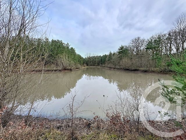 Maison &agrave; vendre - 12 pi&egrave;ces - 420 m2 - Gievres - 41 - CENTRE