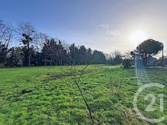 Maison &agrave; vendre - 4 pi&egrave;ces - 78,73 m2 - Pruniers En Sologne - 41 - CENTRE