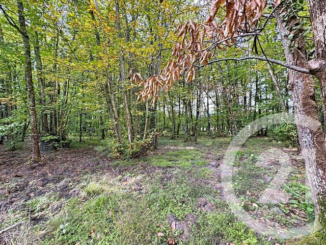 Maison à vendre - 6 pièces - 150,94 m2 - Pruniers En Sologne - 41 - CENTRE