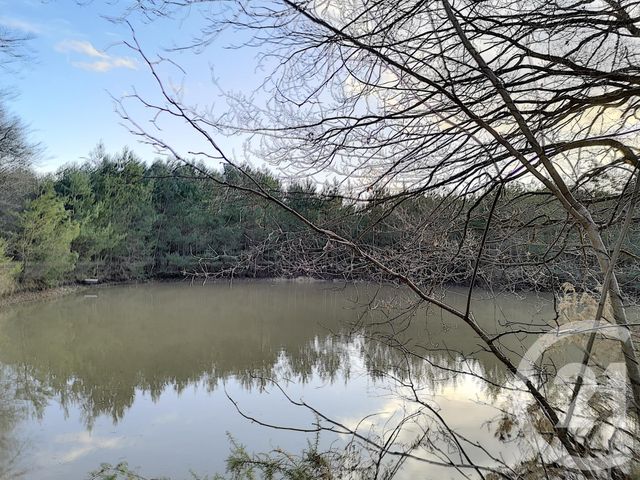 terrain - VILLEFRANCHE SUR CHER - 41