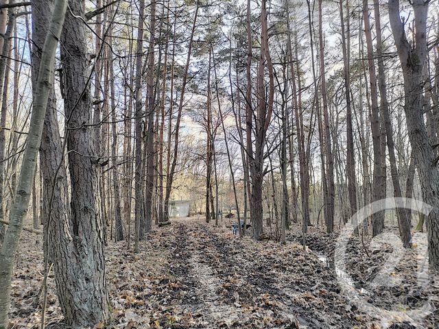 Terrain à vendre - 108852 m2 - Villefranche Sur Cher - 41 - CENTRE