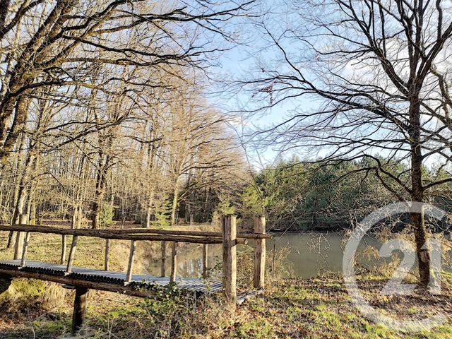 Terrain à vendre - 108852 m2 - Villefranche Sur Cher - 41 - CENTRE