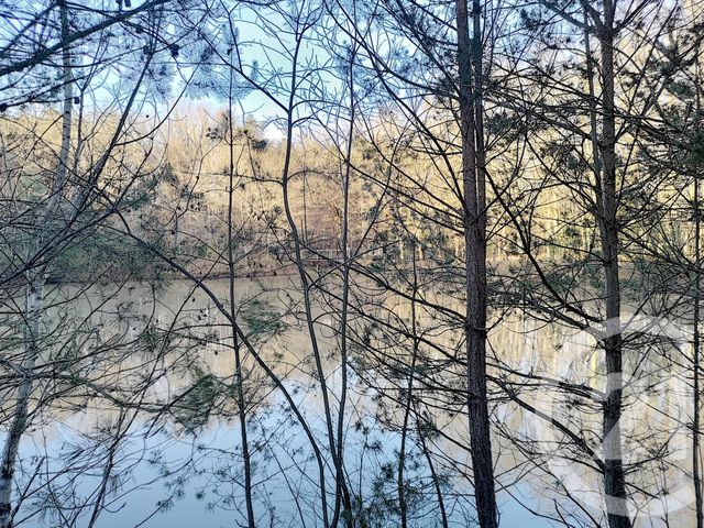 Terrain à vendre - 108852 m2 - Villefranche Sur Cher - 41 - CENTRE