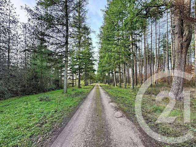 Maison &agrave; vendre - 9 pi&egrave;ces - 338 m2 - 41 - CENTRE