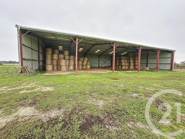 Terrain à vendre - 37628 m2 - Chatillon Sur Cher - 41 - CENTRE