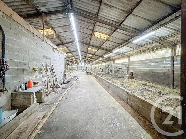 Terrain à vendre - 37628 m2 - Chatillon Sur Cher - 41 - CENTRE