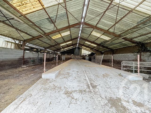 Terrain à vendre - 37628 m2 - Chatillon Sur Cher - 41 - CENTRE